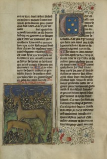 Deer; Brittany, France; about 1430 - 1440; Tempera colors, gold paint, silver paint, and gold leaf on parchment; Leaf: 26.4 x 18