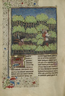 Hunters Training Dogs to Track a Quarry; Brittany, France; about 1430 - 1440; Tempera colors, gold paint, silver paint, and gold