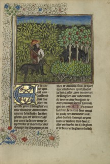 A Hunter and a Dog Tracking a Wild Boar; Brittany, France; about 1430 - 1440; Tempera colors, gold paint, silver paint, and gold