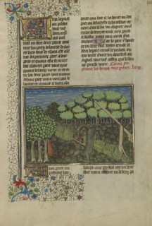 A Wolf Caught in a Foot Trap; Brittany, France; about 1430 - 1440; Tempera colors, gold paint, silver paint, and gold leaf on