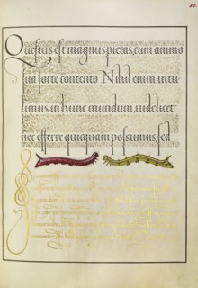 Caterpillars; Joris Hoefnagel, Flemish , Hungarian, 1542 - 1600, and Georg Bocskay, Hungarian, died 1575, Vienna, Austria