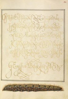 Larva of an Oak Egger Moth; Joris Hoefnagel, Flemish , Hungarian, 1542 - 1600, and Georg Bocskay, Hungarian, died 1575, Vienna