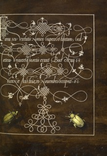 Ground Beetle and Scarab; Joris Hoefnagel, Flemish , Hungarian, 1542 - 1600, and Georg Bocskay, Hungarian, died 1575, Vienna