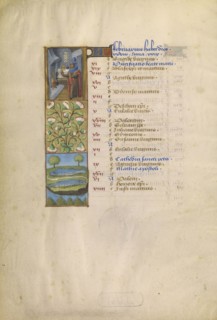 A Man Warming by a Fire; Zodiacal Sign of Pisces; Tours, France; about 1480 - 1485; Tempera colors, gold, and ink on parchment