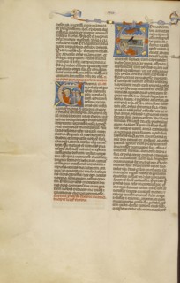 Initial T: The Blinding of Tobit; Bologna, Emilia-Romagna, Italy; about 1280 - 1290; Tempera colors, gold leaf, and ink