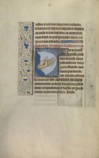 Christ's Left Hand with Wound; Willem Vrelant, Flemish, died 1481, active 1454 - 1481, Bruges, Belgium; early 1460s; Tempera