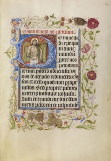 Initial D: The Man of Sorrows; Brabant, possibly, Flanders, Belgium; after 1460; Tempera colors, gold leaf, and ink