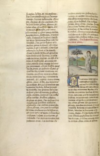 The Creation of Plants; Ghent, Belgium; about 1475; Tempera colors, gold leaf, and gold paint on parchment; Leaf: 43.8 x 30.5 cm