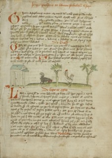 A Rooster Pecking at the Ground; Trier, probably, Germany; third quarter of 15th century; Pen and black ink and colored washes