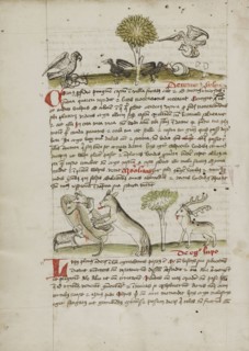 A Dog Biting a Wolf Laying Near his Den and Nearby a Sheep, a Donkey and a Stag; Trier, probably, Germany