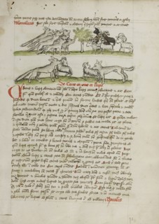 A Herd of Wolves Attacking a Flock of Rams; Trier, probably, Germany; third quarter of 15th century; Pen and black ink