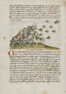 A Swarm of Insects Flying above a Group of Animals; Trier, probably, Germany; third quarter of 15th century; Pen and black ink