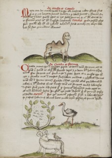 A Camel with a Fly on its Back; Insects in a Vineyard and a Stork Nearby; A Ram with a Crow on its Back; Trier