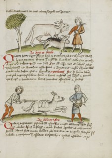 A Farmer with an Ox and Calf; A Man Hitting a Donkey; A Man Beating a Drum; Trier, probably, Germany