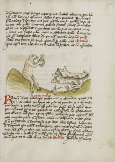 A Frog Sitting on a Hill Receiving a Vessel from a Group of Animals; Trier, probably, Germany; third quarter of 15th century