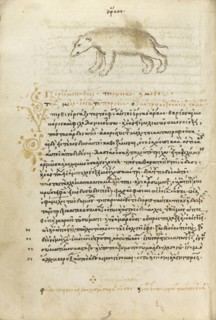 A Bear; Crete, Greece; 1510 - 1520; Pen and red lead and iron gall inks, watercolors, tempera colors, and gold paint on paper