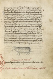 A Sheep; Crete, Greece; 1510 - 1520; Pen and red lead and iron gall inks, watercolors, tempera colors, and gold paint on paper
