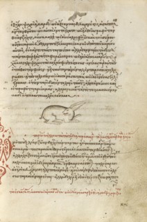 A Hare; Crete, Greece; 1510 - 1520; Pen and red lead and iron gall inks, watercolors, tempera colors, and gold paint on paper
