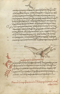 A Bird Pecking at an Animal; Crete, Greece; 1510 - 1520; Pen and red lead and iron gall inks, watercolors, tempera colors