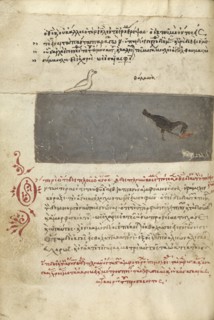 A Bird and a Bird Catching a Fish; Crete, Greece; 1510 - 1520; Pen and red lead and iron gall inks, watercolors, tempera colors