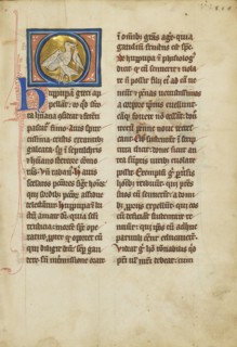 A Hoopoe; Thérouanne ?, France, formerly Flanders, fourth quarter of 13th century, after 1277, Tempera colors, pen and ink