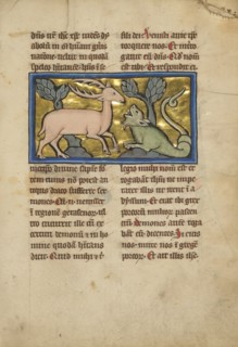 A Stag before a Dragon-like Snake; Thérouanne ?, France, formerly Flanders, fourth quarter of 13th century, after 1277