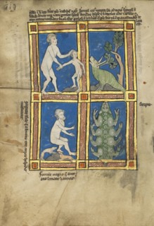 Praesillus; A Hairy Woman of the Island of Gorgade; A Scorpion; Thérouanne ?, France, formerly Flanders)