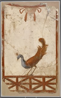 Wall Fragment with a Peacock; Italy, Europe; 1 - 79; Fresco; 40 × 24.8 × 3.2 cm, 15 3,4 × 9 3,4 × 1 1,4 in