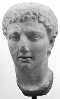 Portrait Head of Youth; 1st century B.C; Marble; 31.8 x 18.7 x 20 cm, 12 1,2 x 7 3,8 x 7 7,8 in