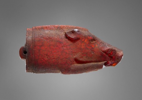 Pendant: Foreparts of a Recumbent Boar; Italy; 525 - 480 B.C; Amber; 24.5 × 50 × 13 mm, 9.3 g, 15,16 × 1 15,16 × 1,2 in.