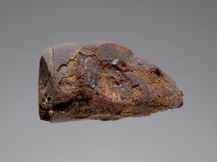 Pendant: Ram's Head; Italy; 525 - 480 B.C; Amber; 40 × 22 × 24 mm, 1 9,16 × 7,8 × 15,16 in