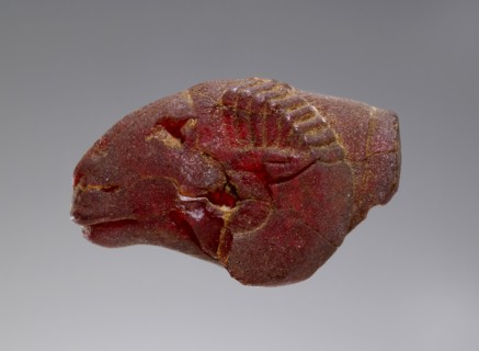 Pendant: Ram's Head; Italy; 500 - 400 B.C; Amber; 18 × 15 × 21 mm, 11,16 × 9,16 × 13,16 in