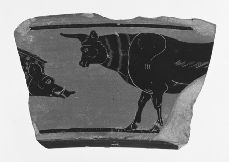 Attic Black-Figure Volute Krater Fragment; Athens, Greece; about 530 B.C; Terracotta; 11.3 cm, 4 7,16 in