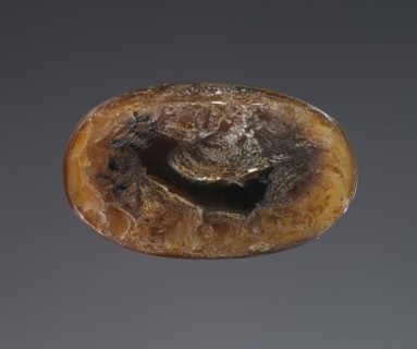 Cameo with a Lion; Roman Empire; 1st - 3rd century; Sardonyx; 2.3 × 1.4 × 1.1 cm, 7,8 × 9,16 × 7,16 in