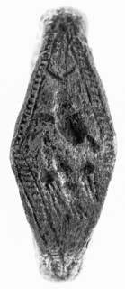 Ring; second half of 6th century B.C; Silver and tin; 2.6 cm, 0.0123 kg, 1 in., 0.0271 lb