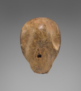 Pendant: Cowrie Shell , Hare; Italy; 600 - 500 B.C; Amber; 37 × 26 × 14 mm, 1 7,16 × 1 × 9,16 in