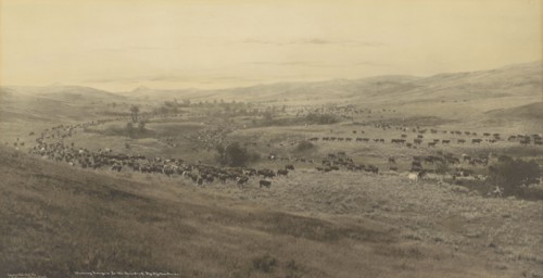 Throwing Rangers to the Round-up, Big Dry, Montana; Laton Alton Huffman, American, 1854 - 1931, 1907; Hand-colored gelatin
