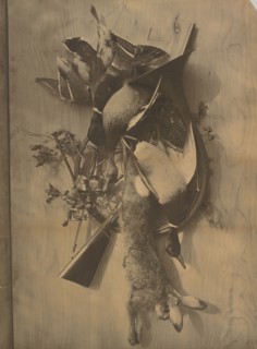 Still Life: Dead Game; Adolphe Braun, French, 1812 - 1877, about 1880; Carbon print; 75.6 × 55.6 cm, 29 3,4 × 21 7,8 in