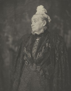 Julia Ward Howe; Sarah Choate Sears, American, 1858 - 1935, about 1890; Platinum print; 23.5 x 18.6 cm, 9 1,4 x 7 5,16 in