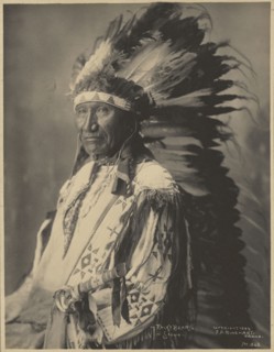 Rocky Bear, Sioux; Adolph F. Muhr, American, died 1913, Frank A. Rinehart, American, 1861 - 1928, 1899; Platinum print