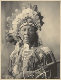 Last Horse, Ogalalla Sioux; Adolph F. Muhr, American, died 1913, Frank A. Rinehart, American, 1861 - 1928, 1899; Platinum