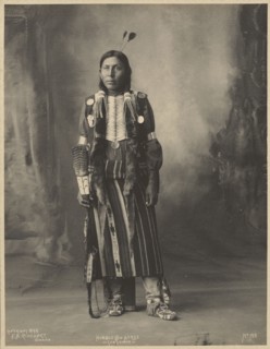 Pablino Diaz, Kiowa; Adolph F. Muhr, American, died 1913, Frank A. Rinehart, American, 1861 - 1928, 1899; Platinum print