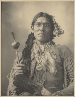 Fox of Iowa: Worsted Work; Adolph F. Muhr, American, died 1913, Frank A. Rinehart, American, 1861 - 1928, 1899; Platinum print