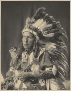 Bad Wound, Sioux; Adolph F. Muhr, American, died 1913, Frank A. Rinehart, American, 1861 - 1928, 1899; Platinum print