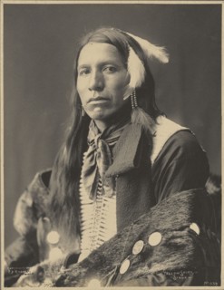 Yellow Shirt, Sioux; Adolph F. Muhr, American, died 1913, Frank A. Rinehart, American, 1861 - 1928, 1899; Platinum print