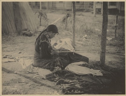 Fox of Iowa, Bead Work; Adolph F. Muhr, American, died 1913, Frank A. Rinehart, American, 1861 - 1928, 1899; Platinum print