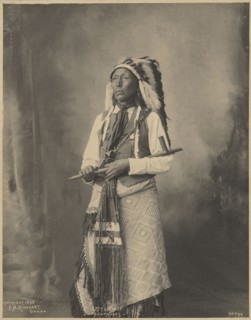 Little Chief, Arapahoes; Adolph F. Muhr, American, died 1913, Frank A. Rinehart, American, 1861 - 1928, 1898; Platinum print