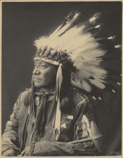 Painted Horse, Sioux; Adolph F. Muhr, American, died 1913, Frank A. Rinehart, American, 1861 - 1928, 1899; Platinum print