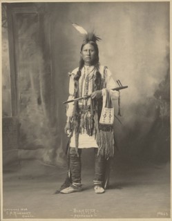 Black Otter, Arapahoe; Adolph F. Muhr, American, died 1913, Frank A. Rinehart, American, 1861 - 1928, 1898; Platinum print