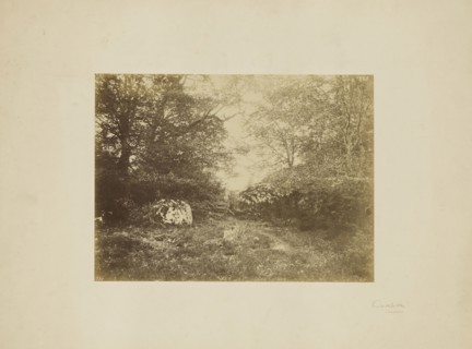 Landscape study; Eugène Cuvelier, French, 1837 - 1900, about 1855; Albumen silver print